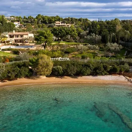 Willa Paragon Of Hinitsa