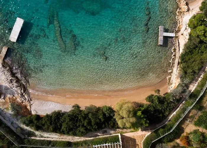 Willa Paragon Of Hinitsa *