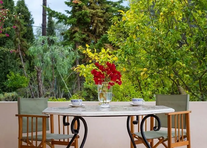 Paragon Of Hinitsa Willa *