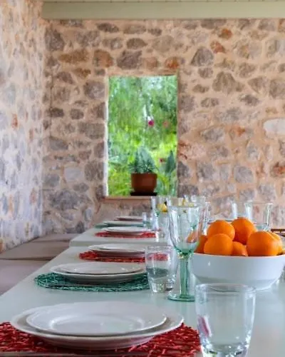 Paragon Of Hinitsa Nisís Khinítsa